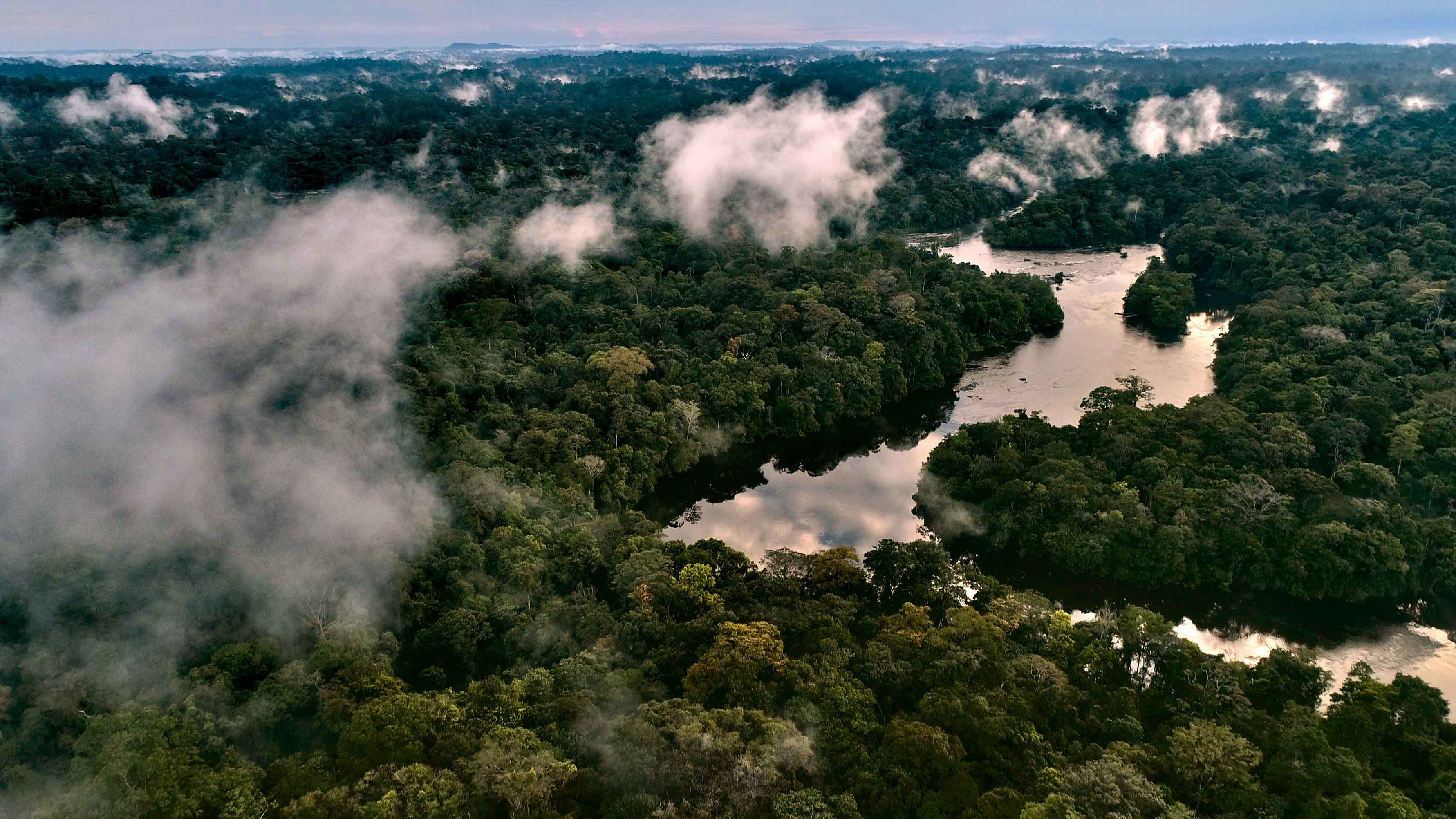 Der Amazonas: Blick einer Drohne