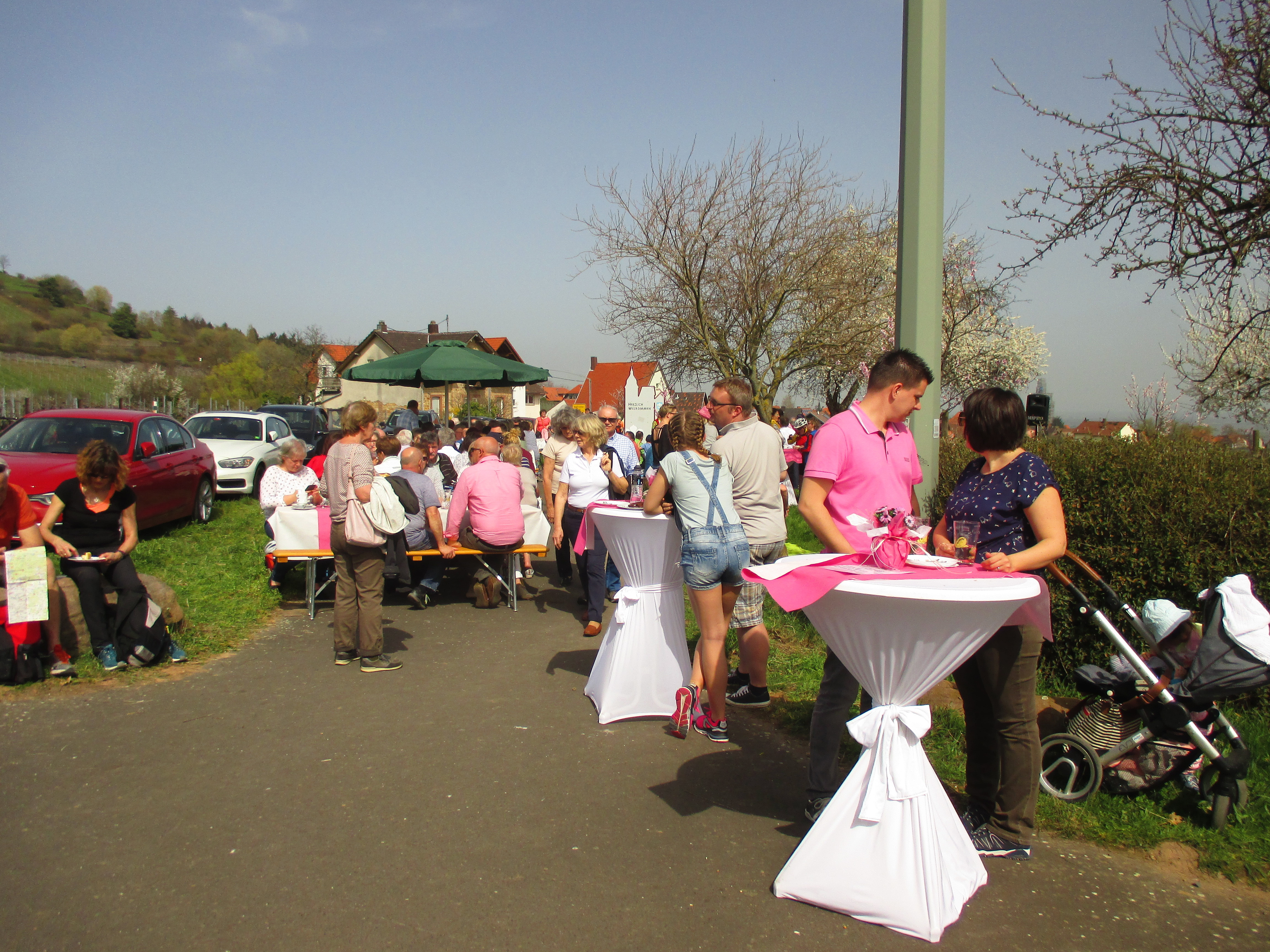Bei herrlichstem Frühlingswetter genossen die Besucher die rosarote Tafel zwischen Gleisweiler und Burrweiler. Fotos: Klein