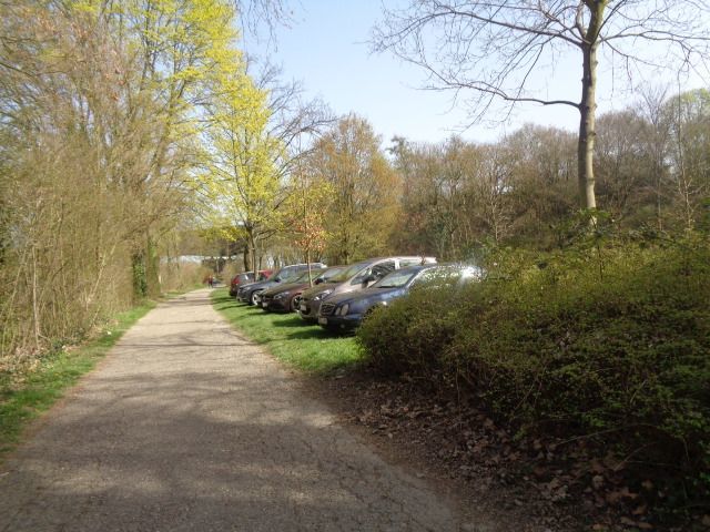 Allein auf der Domwiese entlang der Rheinallee wurden 69 Verwarnungen ausgestellt.