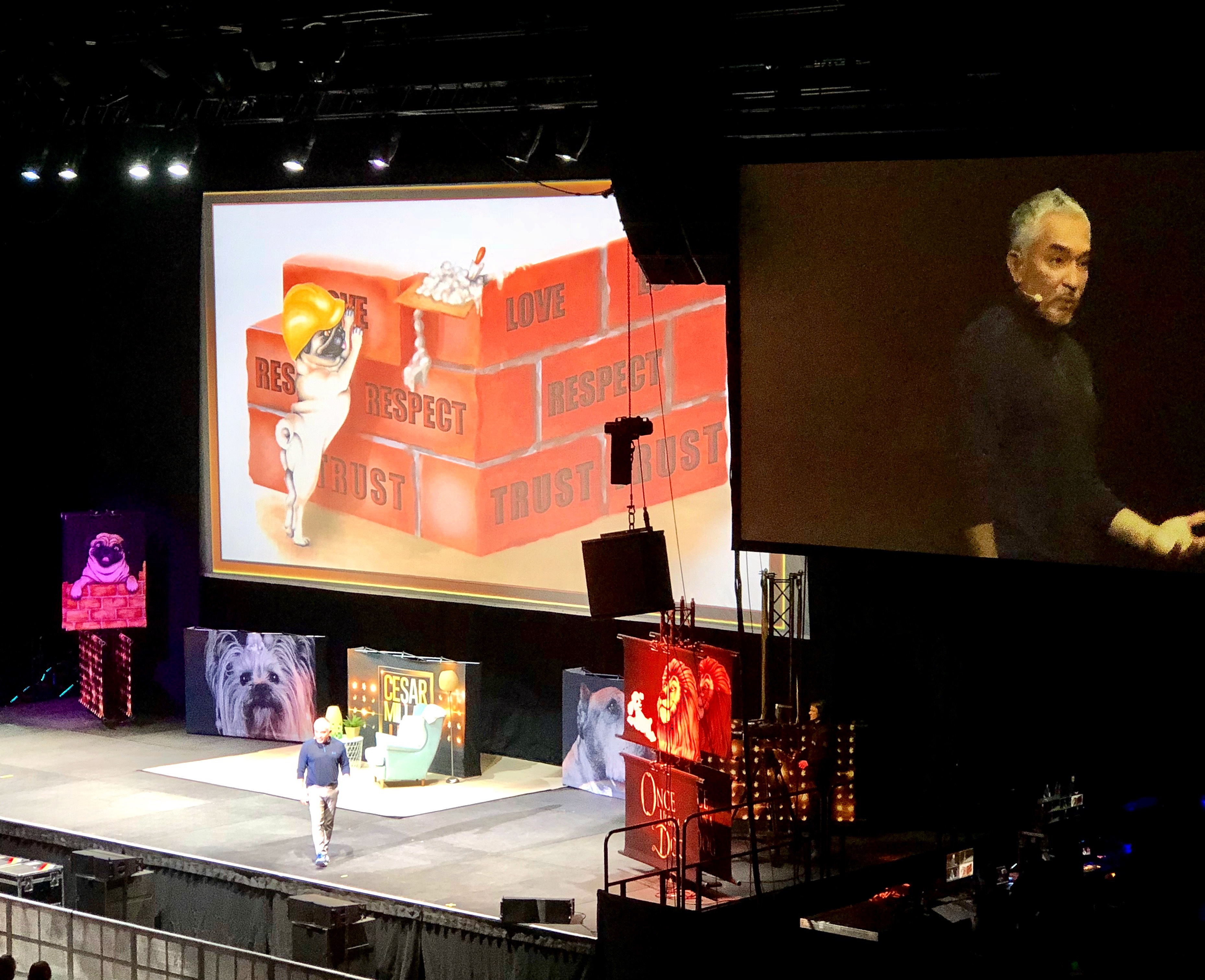 Cesar Millan in der SAP Arena.
