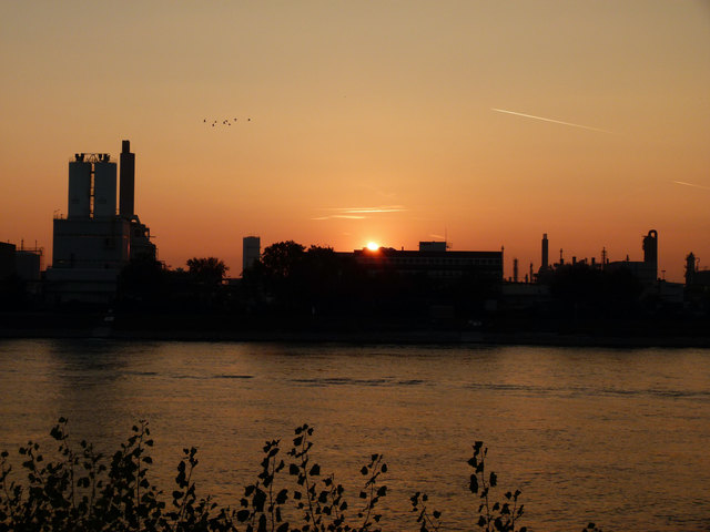 Foto: Ilona Schäfer