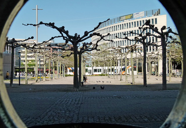Foto: Ilona Schäfer