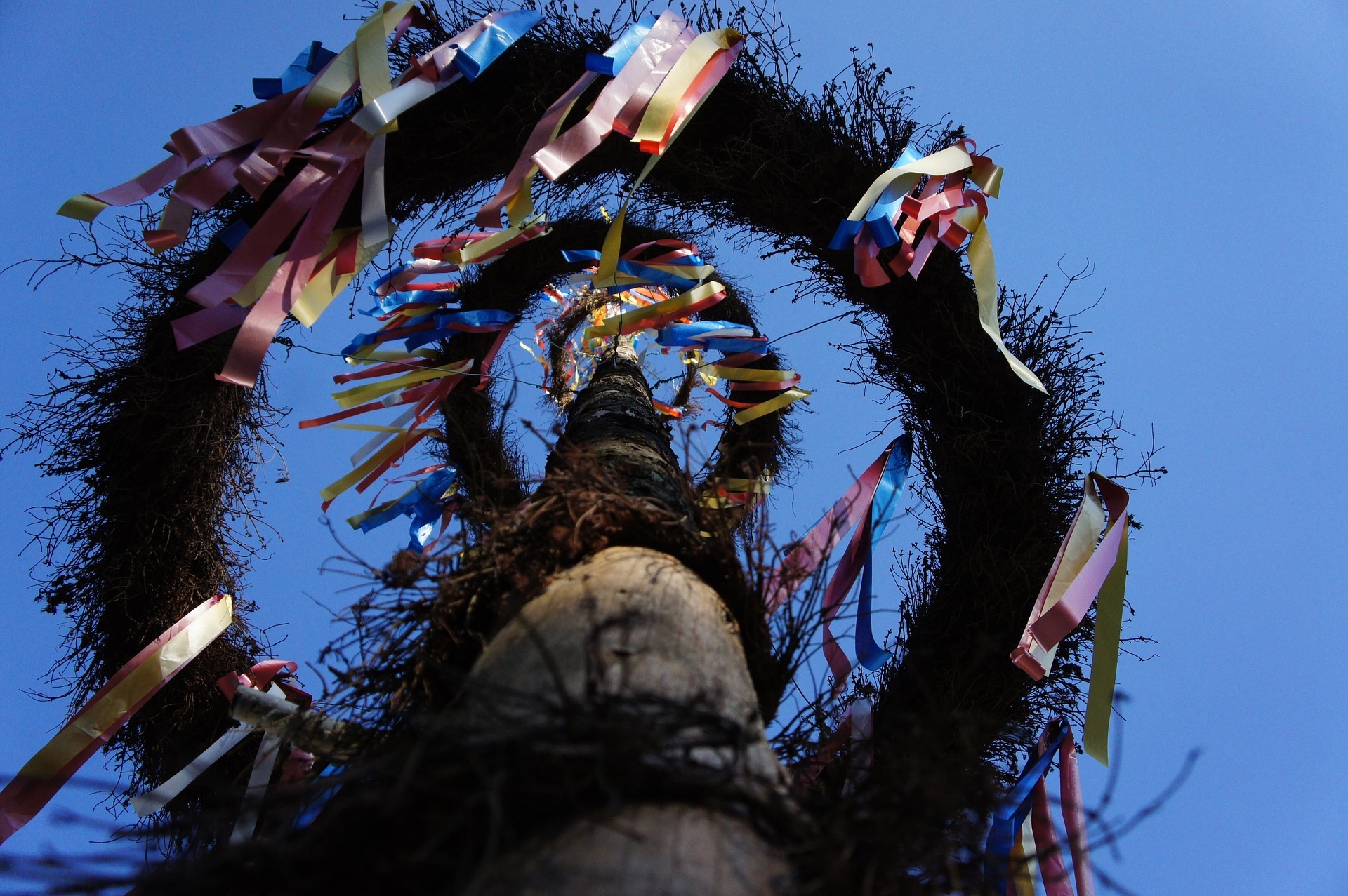 Blick auf einen geschmückten Maibaum