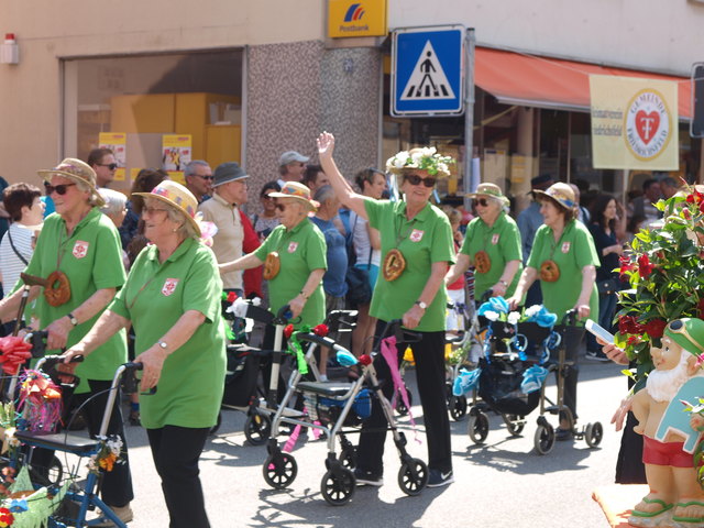 Sommertagsumzug Friedrichsfeld 2018 | Foto: Kristin Hätterich