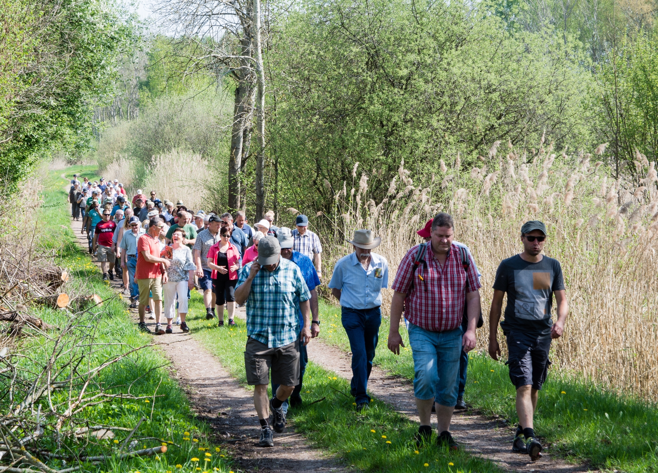 Mitten durch das Naturschutzgebiet „Scheidelberger Woog“ führte der diesjährige Gemarkungsumgang der CDU Hütschenhausen die zahlreichen Wanderer, von denen sehr viele zum ersten Mal überhaupt in diesem Bereich unterwegs waren