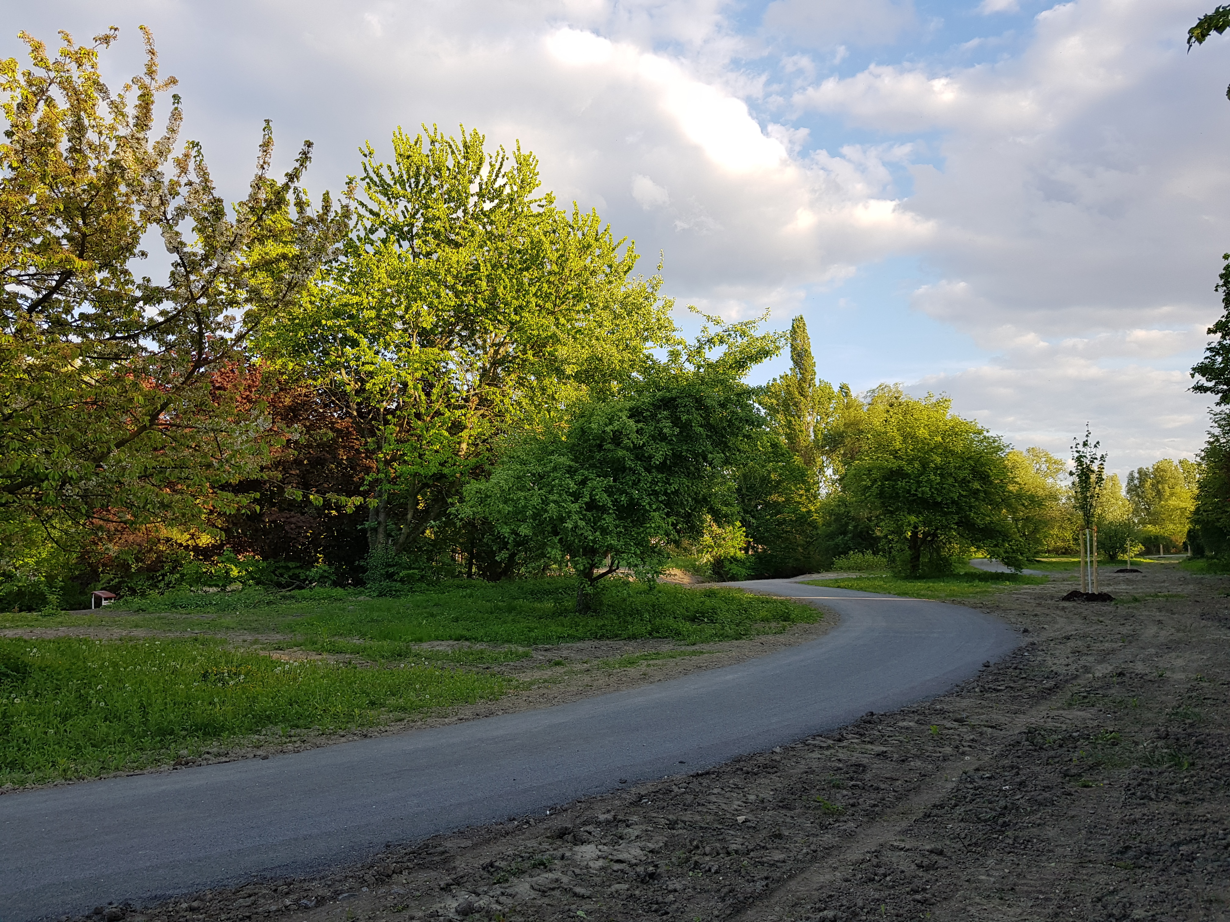 Hier und da bereits ein neuer Baum und ein Weg.