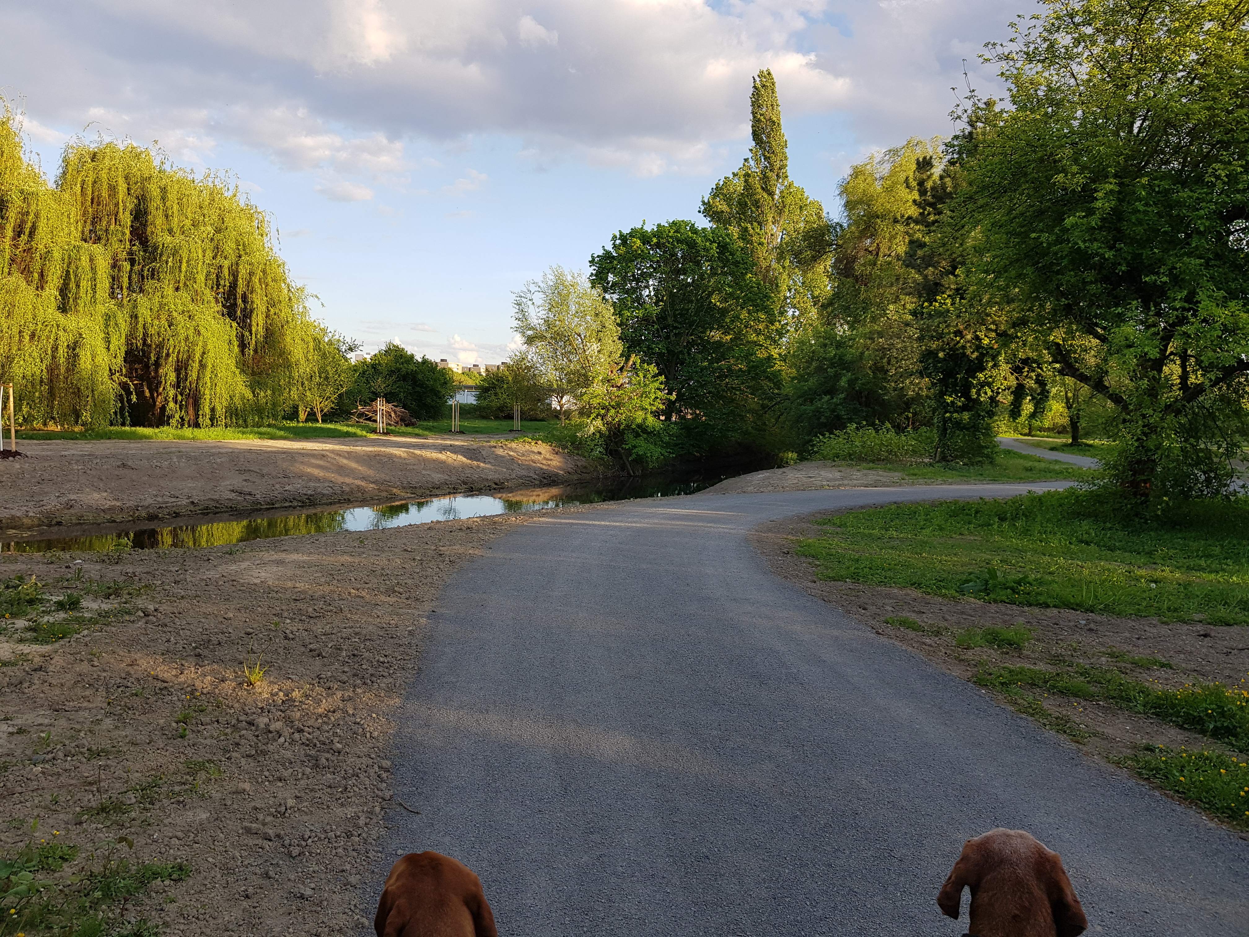 Auch die Isenach (Mörschbach) ist endlich zu sehen.