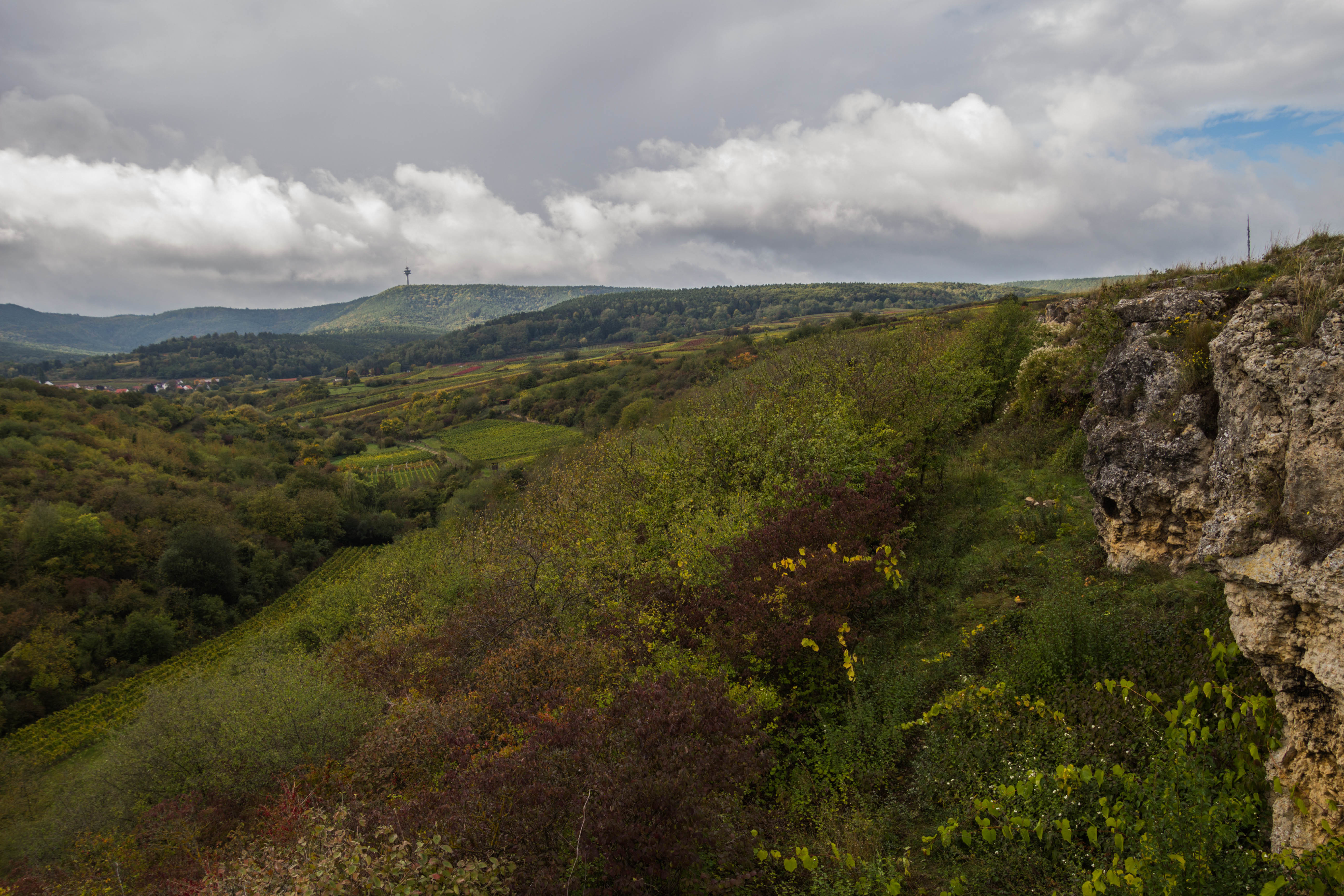 Das Naturschutzgebiet Berntal, nordöstlich des Stadtteils Leistadt gelegen, gilt als eines der schönsten Täler an der Weinstraße. Foto: Jonas Beckmann