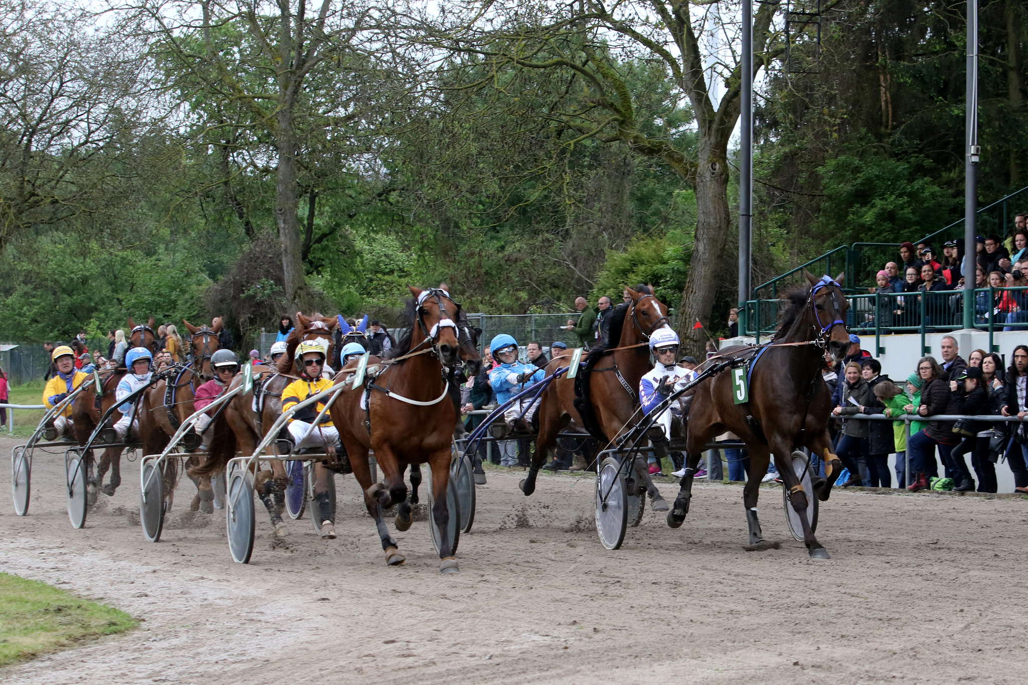 Bahn FГјr Galopp Und Trabrennen Bahn FГјr Galopp Und Trabrennen