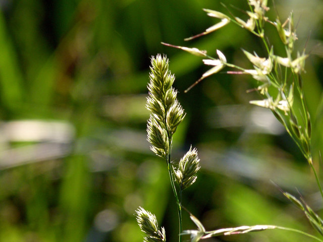 Foto: Ilona Schäfer