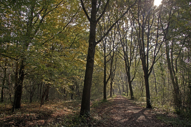 Foto:  Ilona Schäfer