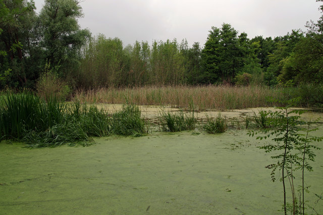 Foto: Ilona Schäfer