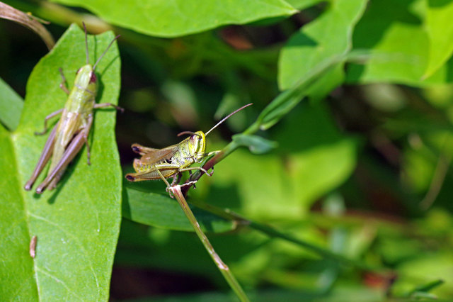Foto: Ilona Schäfer