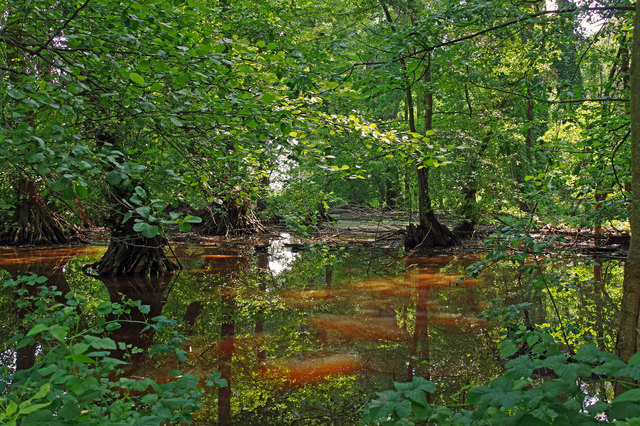 Foto: Ilona Schäfer