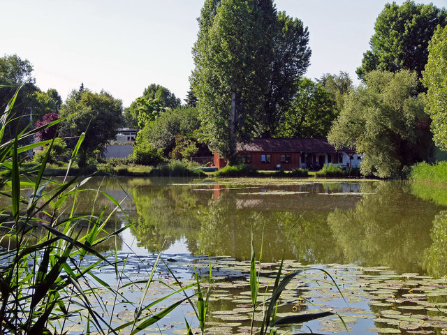 Foto:  Ilona Schäfer