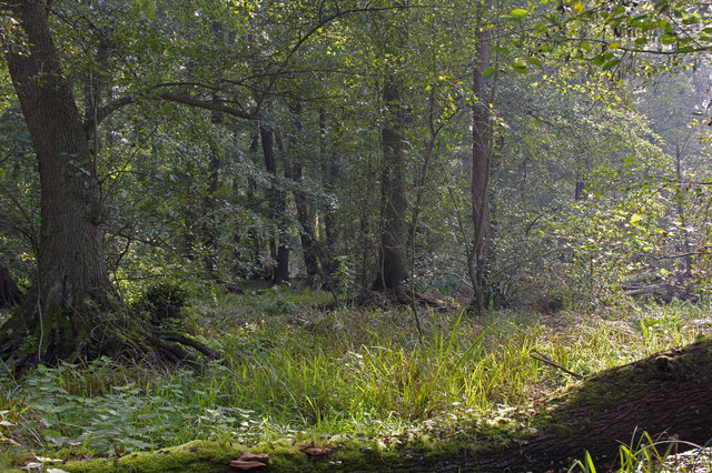 Foto: Ilona Schäfer