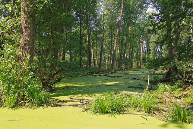 Foto: Ilona Schäfer