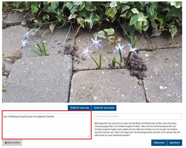 Schritt 5 - Bild einfügen, Bildfokus setzen und Urheber angeben: Hier können Sie eine Bildunterschrift und - ganz wichtig - den Urheber des Fotos einzufügen. (Foto: Wochenblatt-Redaktion) | Foto: Wochenblatt-Redaktion