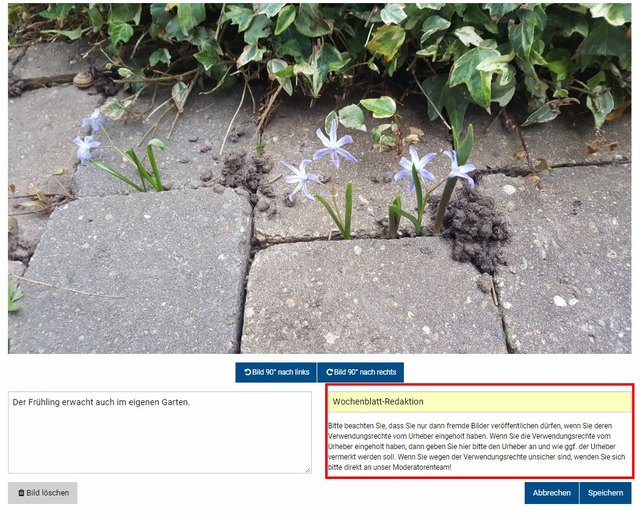 Schritt 5 - Bild einfügen, Bildfokus setzen und Urheber angeben: Hier können Sie eine Bildunterschrift und - ganz wichtig - den Urheber des Fotos einzufügen.  | Foto: Wochenblatt-Redaktion