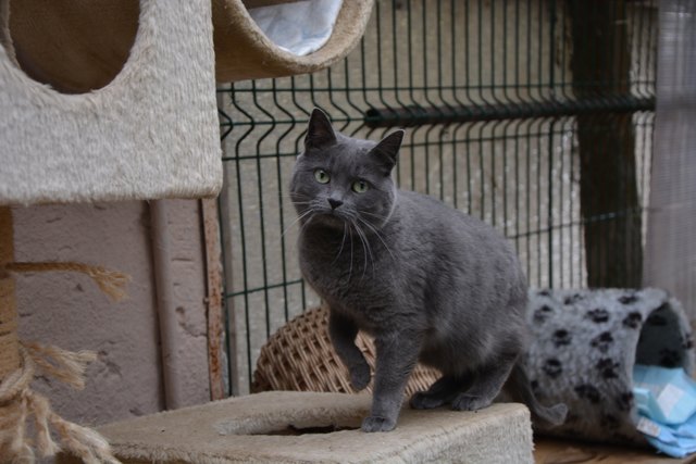 Die bildhübsche, aber sehr ängstliche Lisa auf dem Weg zurück zu ihrem Versteck