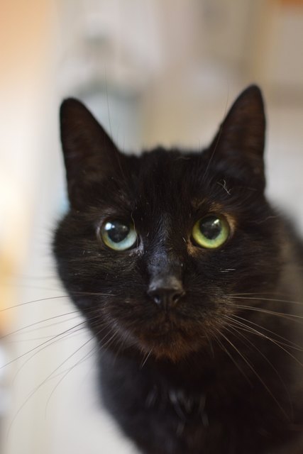 Pia in freudiger Erwartung der Essensausgabe. 