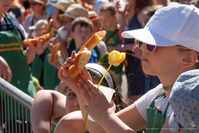 Bruchsaler Sommertagszug | Foto: Paul Needham