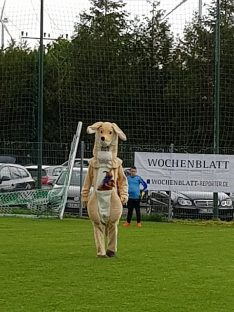 Das Maskottchen aus Australien. Der SV Rodenbach mit tierischer Unterstützung. Foto: Horn