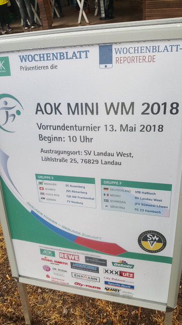 Vorrundenturnier der AOK Mini WM in Landau. | Foto: Goepfrich