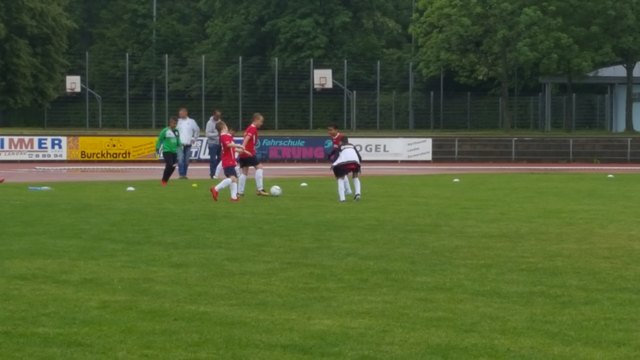 Die Kids geben auf dem Platz alles. | Foto: Goepfrich