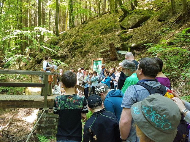 Durch die Elendsklamm fließt der Frohnbach ins Tal zur Tausendmühle. | Foto: Loch
