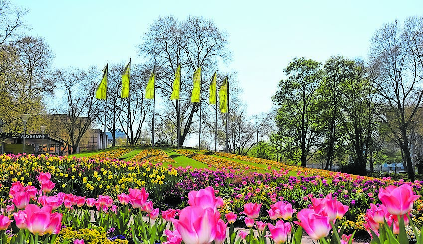 Der Luisenpark ist Oase für Auge und Seele.