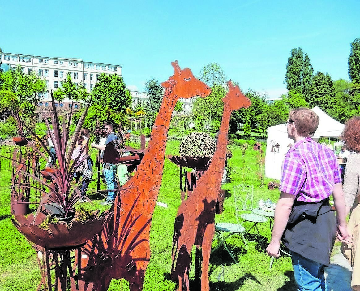 Freuen sich über Aufmerksamkeit: Zwei Giraffen, die jeden Garten zum Blickfang machen. Foto: Kling