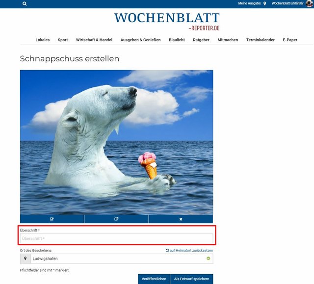 Schritt 4 - Überschrift vergeben: Im nächsten Schritt müssen Sie Ihrem Schnappschuss noch einen Titel geben. Diesen fügen Sie in das Feld "Überschrift" ein.  | Foto: Wochenblatt-Redaktion