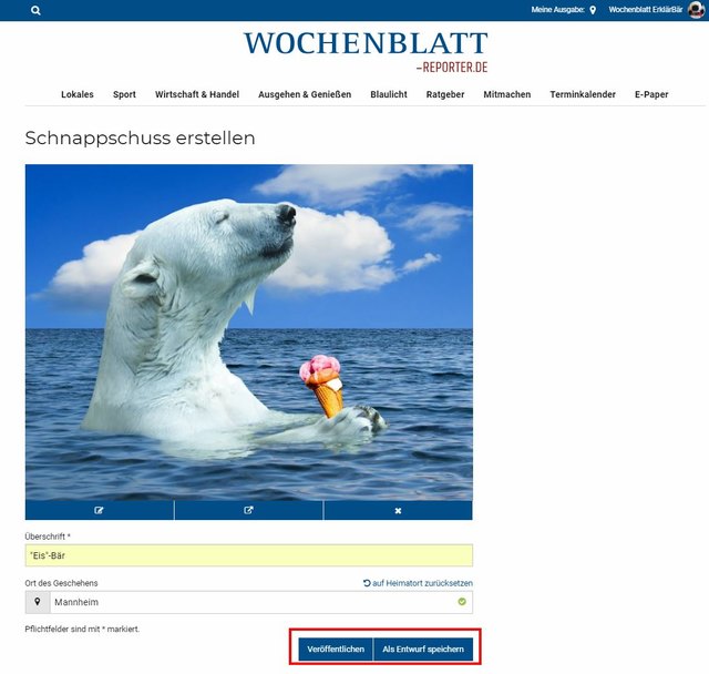 Schritt 6 - Schnappschuss veröffentlichen oder als Entwurf speichern: Wenn Sie mit dem Schnappschuss fertig sind, klicken Sie unten rechts auf „Veröffentlichen“. Sie können den Schnappschuss auch vorerst als "Entwurf speichern" | Foto: Wochenblatt-Redaktion