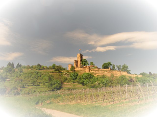 Wachtenburg(Wachenheim)........wir gehen immer gerne vom Parkplatz eine Runde durch den Ort-an der alten Mauer hoch zur Burg (gut Essen,Trinken und einen tollen Blick über die Weinstrasse/ Rheintal....
