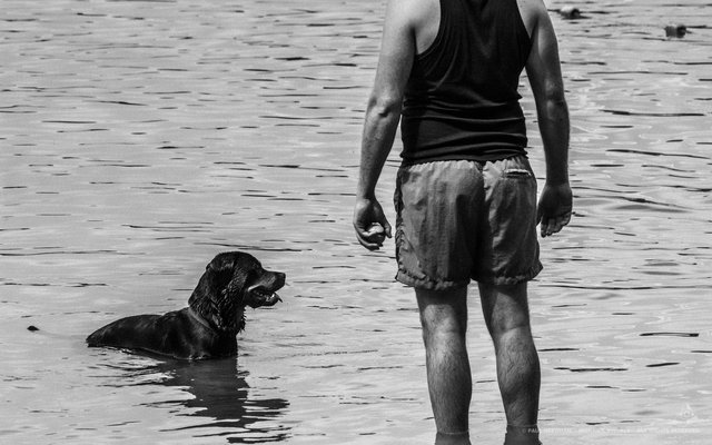 Badegäste am Grötzinger Baggersee | Foto: Paul Needham