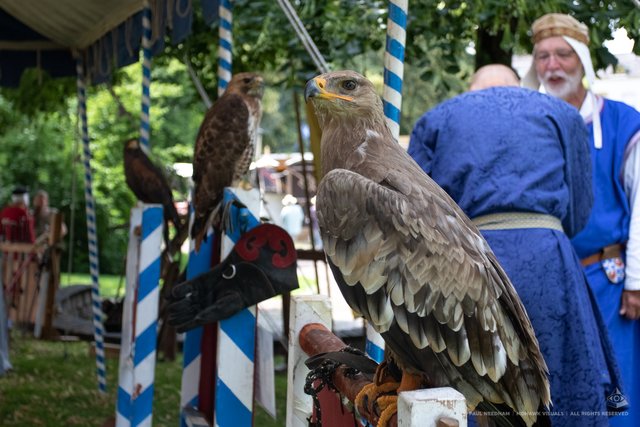 Bergfried Spectaculum in Bruchsal | Foto: Paul Needham