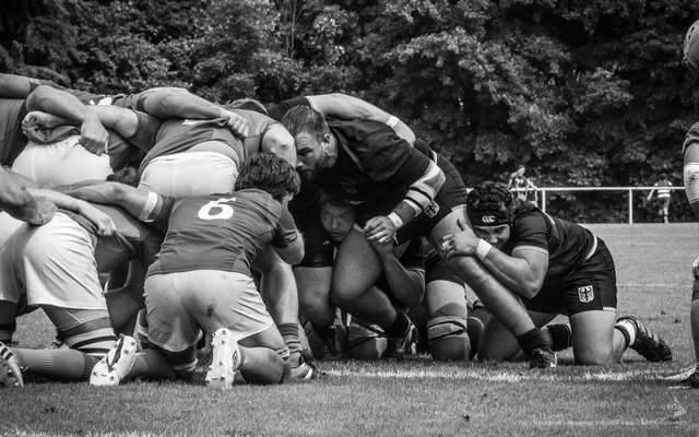 Deutschland schlägt Portugal mit 16:13 | Foto: Paul Needham