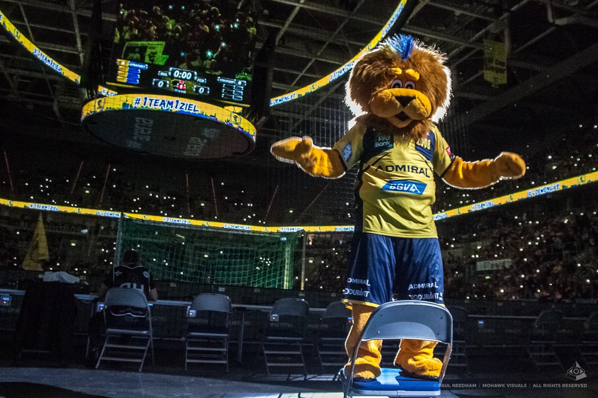Ehf Bestatigt Champions League Teilnahme Der Rhein Neckar Lowen