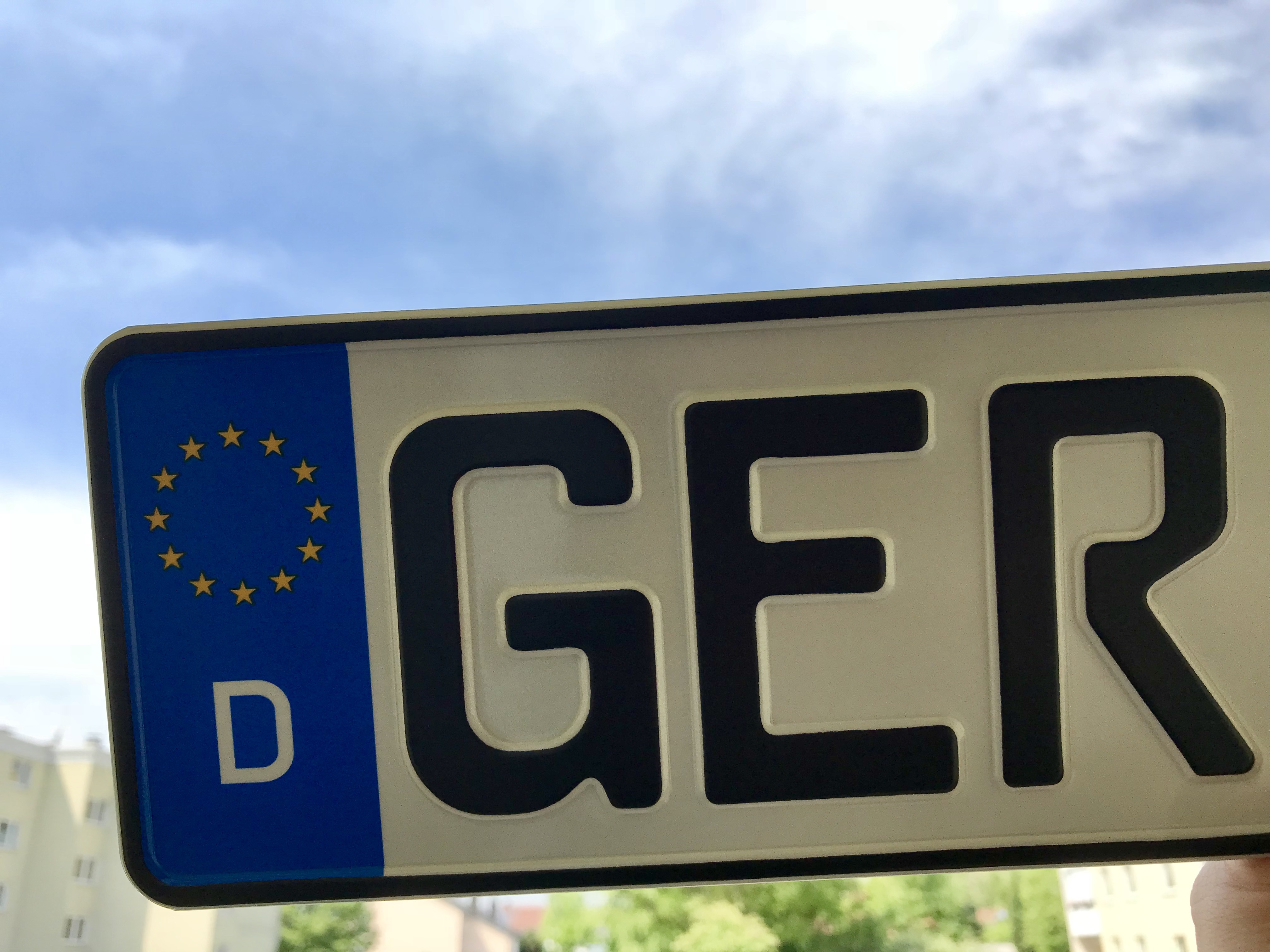 Kennzeichen wurden in Schwegenheim entwendet. (Symbolfoto)