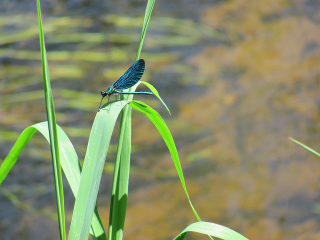 eleganter Edelschmuck | Foto: Bernd Barth