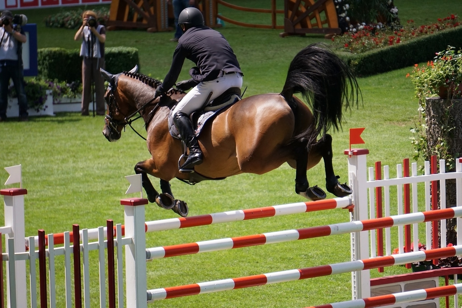 Symbolfoto Springreiten