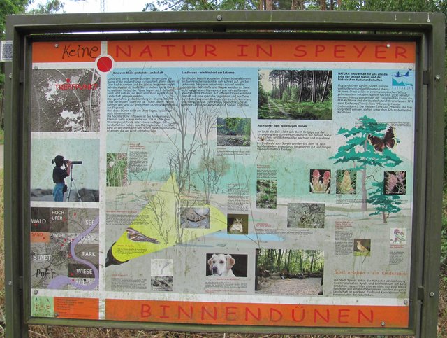 ein einmaliges Erlebnis