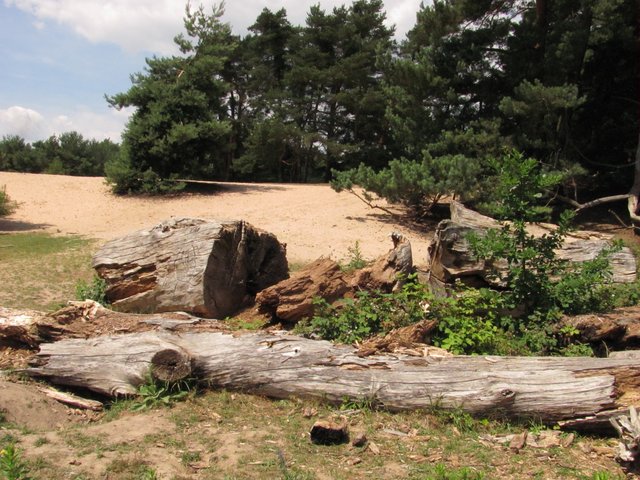 nur ein kleines Stück eines großen Areals 
