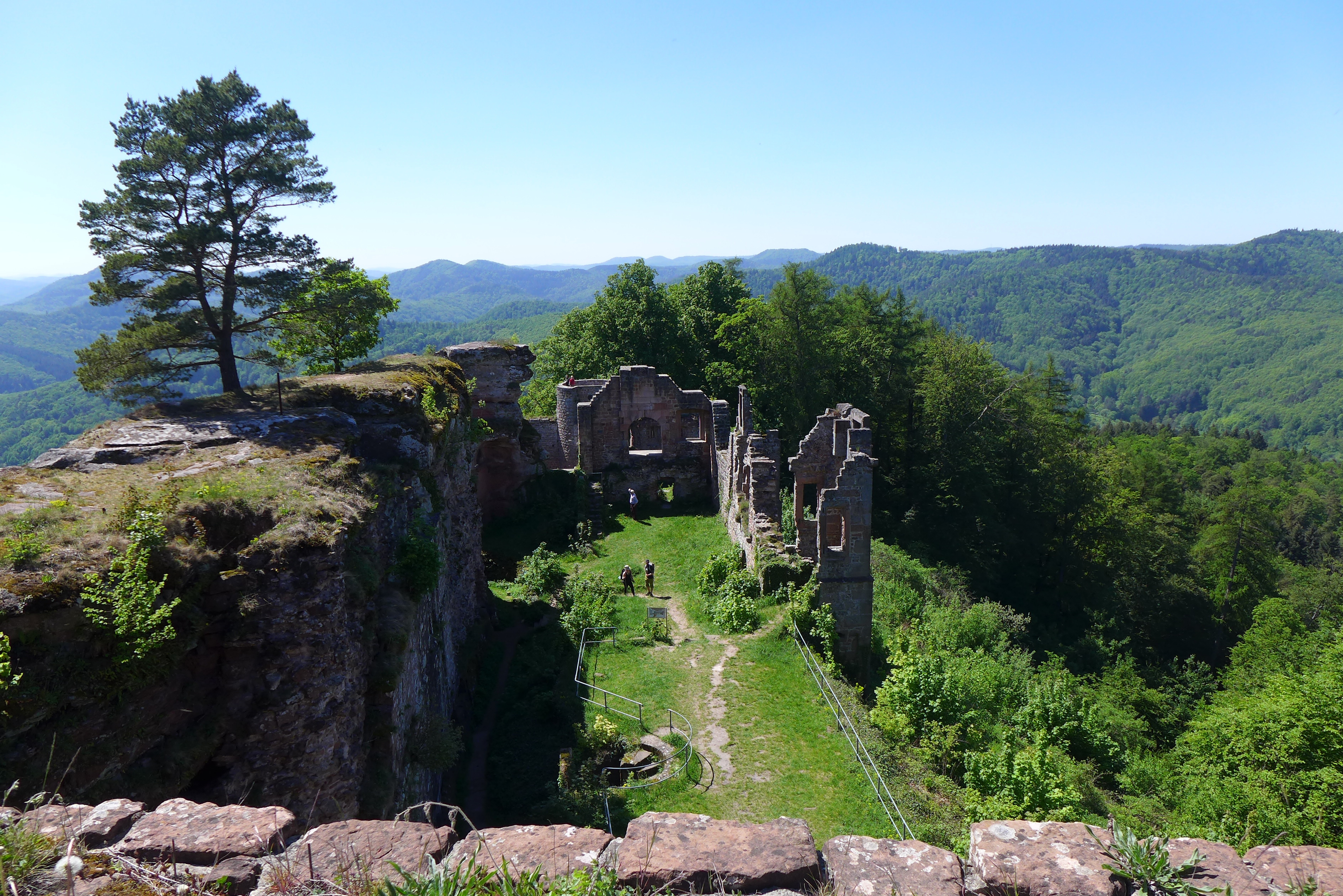 Die Südpfalz hat eine Menge an tollen Ausflugszielen zu bieten. Hier die Burg Neuscharfeneck bei Ramberg über dem Dernbacher Tal.