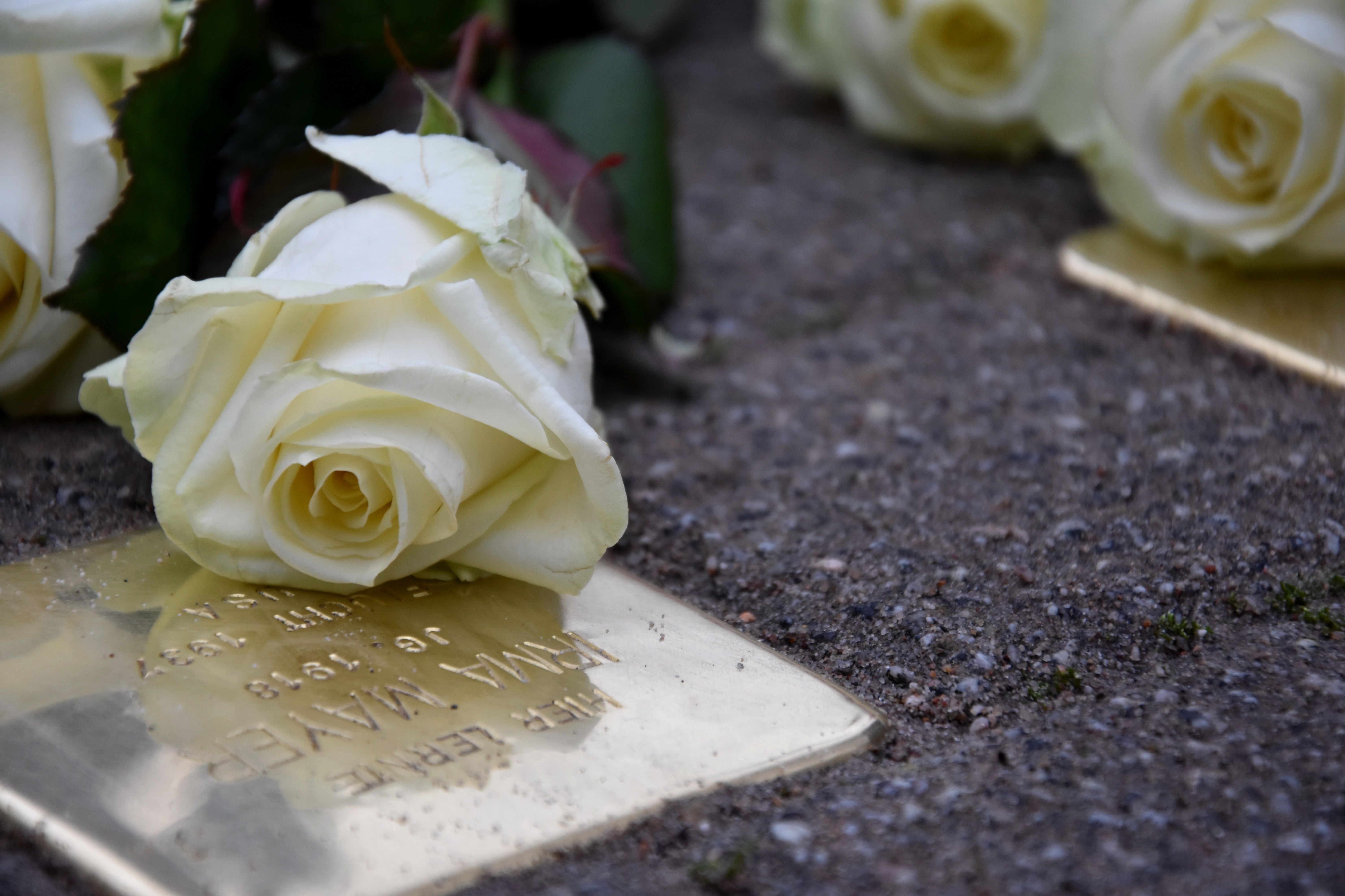 Gegen das Vergessen: In der Stadt Landau wurden bereits 228 Stolpersteine verlegt, wie hier vor dem Max-Slevogt-Gymnasium. 12 weitere sollen am Freitag, 6. Juli, folgen. Foto: stp