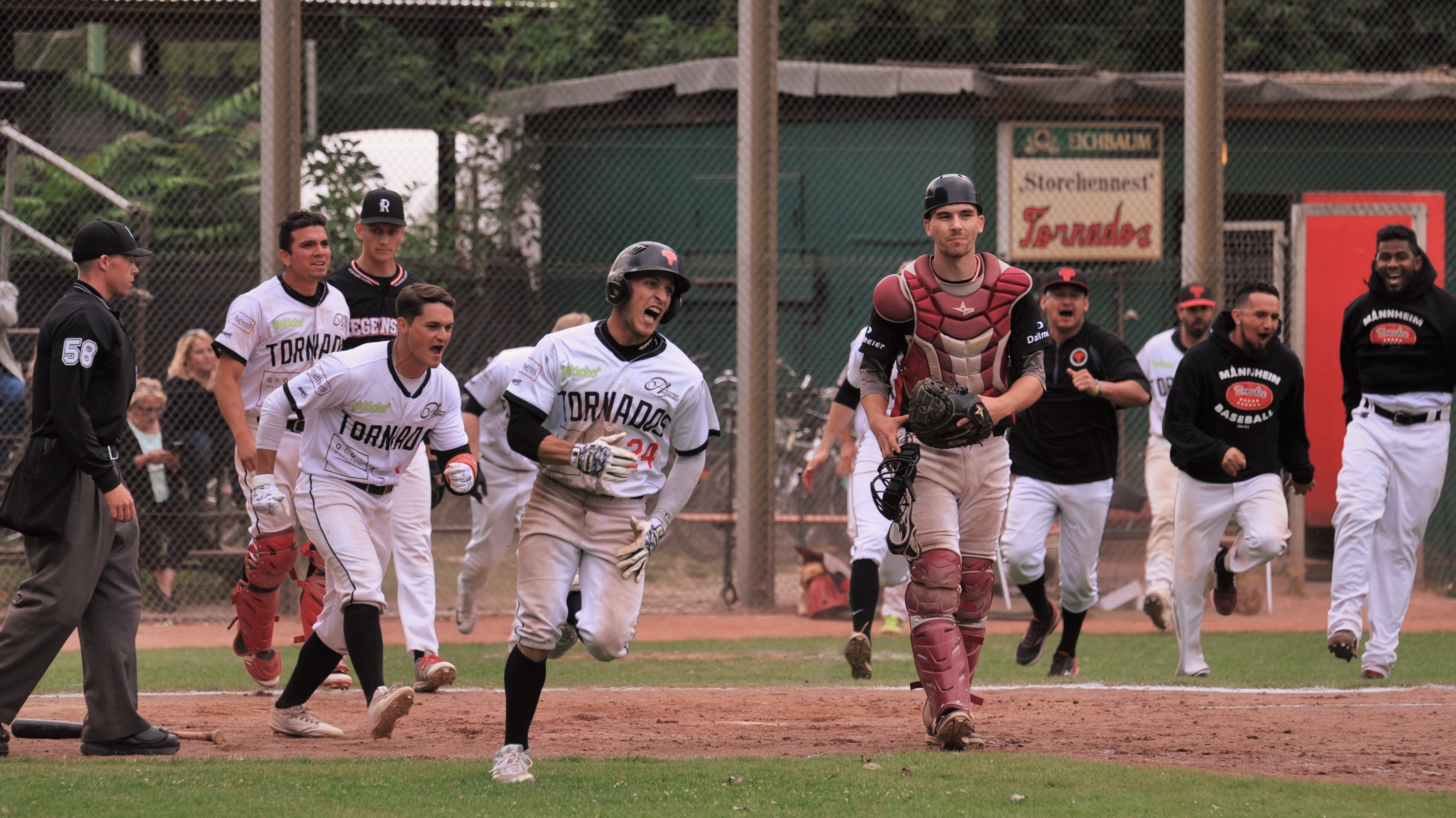 Grenzenloser Tornados-Jubel nach dem 3:2-Winning Run gegen die Regensburg Legionäre im elften Inning.