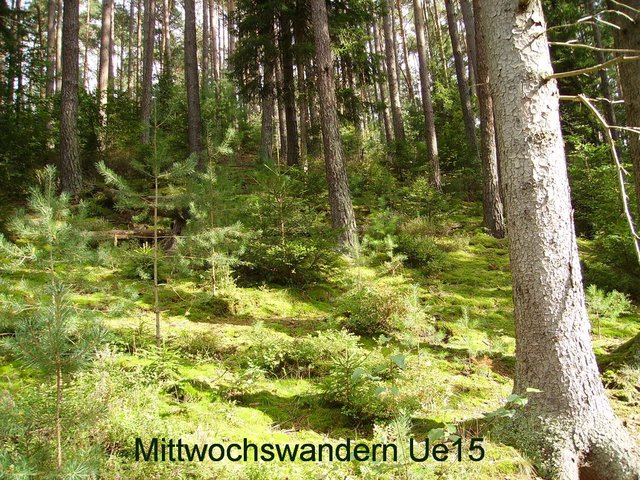 Auf dem Weg zum Sindelweiher.