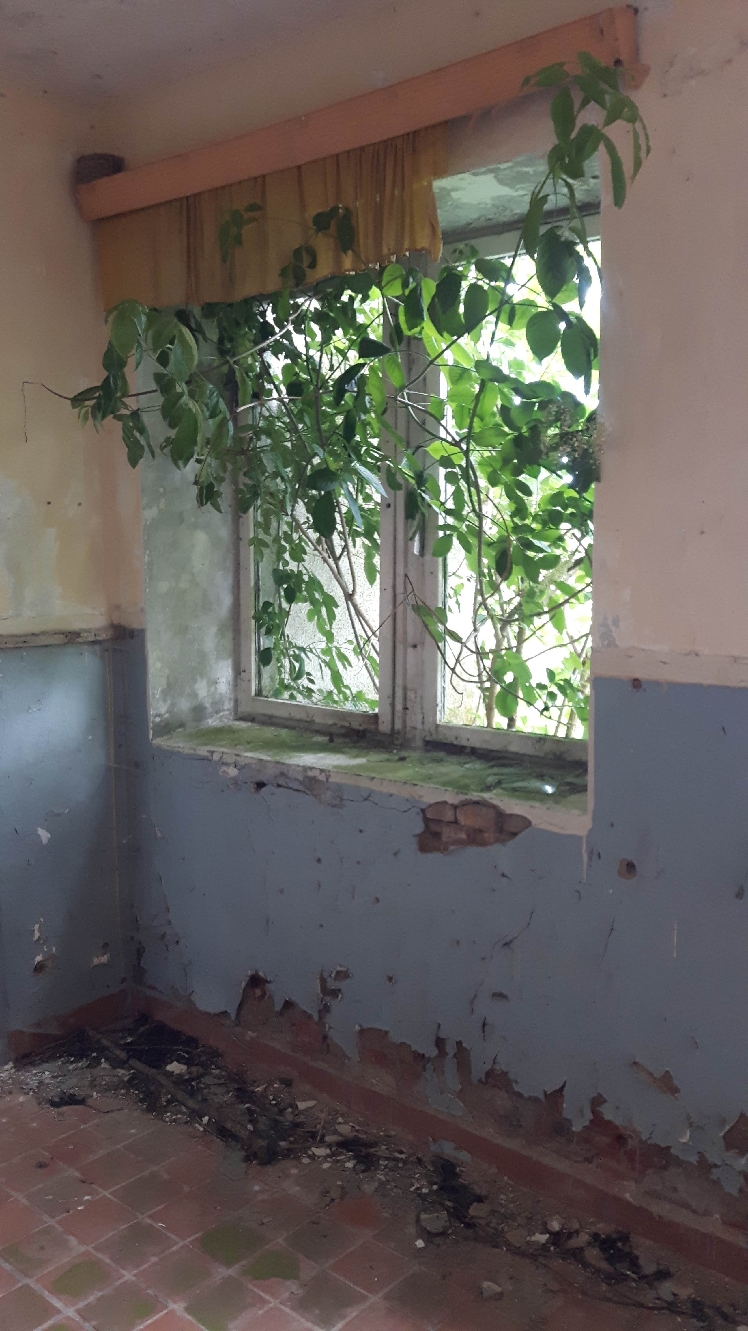 „Lost Place“ auf Wustrow: im alten Flughafengebäude