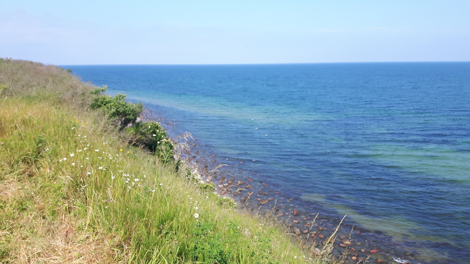Eintauchen in Geschichte: Jede Menge unberührte Natur gibt’s bei der Insel Wustrow. Jetzt darf man zumindest wieder mit einem Planwagen rund um den ehemaligen Stützpunkt der russischen Armee fahren.